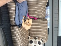 IMG_1785.jpeg
