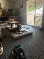IMG_1557.jpeg