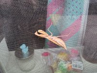 IMG_7938.jpeg