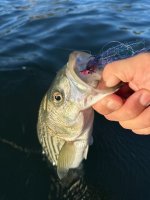 IMG_5642.jpeg