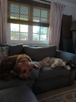 IMG_20250927_172324815~2.jpg
