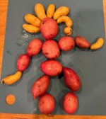 IMG_7961.jpeg