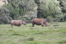 Africa_Karl2011 264.jpeg