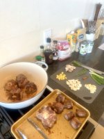IMG_7089.jpeg IMG_7089.jpeg