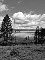 B80B5C60-80AB-456D-A6CD-168A2F873D27.jpeg