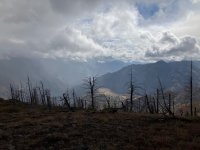 IMG_2168.jpeg