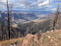 IMG_2171.jpeg