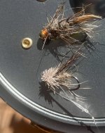 IMG_1843.jpeg