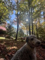IMG_5141.jpeg