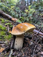 2025-10-04 11.42.38.jpg