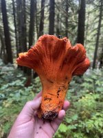 2025-10-04 13.26.15.jpg