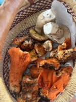 2025-10-04 16.10.35.jpg