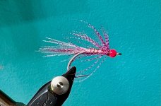 IMG_1669.jpeg