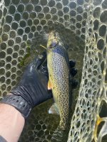 IMG_1633.jpeg IMG_1633.jpeg