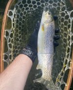 IMG_1642.jpeg IMG_1642.jpeg