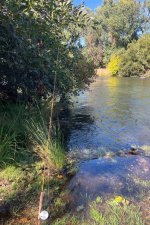 IMG_0283.jpeg