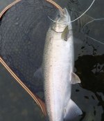 IMG_4109.jpeg IMG_4109.jpeg