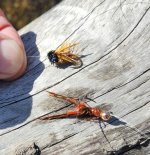 20251009_SecndSetFlies.jpg