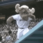 IMG_5177.gif