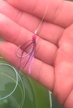 IMG_1690.jpeg IMG_1690.jpeg