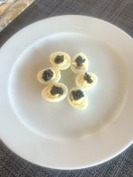 IMG_7118.jpeg IMG_7118.jpeg
