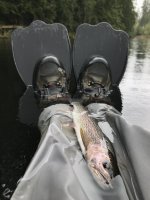 IMG_3944.jpeg