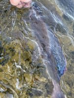 IMG_0925.jpeg