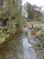 IMG_5198.jpeg