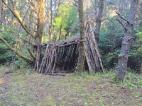 20250923_085313.jpg