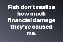1760447380659.png