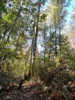 IMG_5209.jpeg