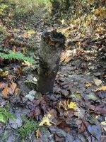 IMG_5210.jpeg