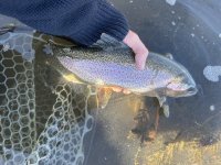 IMG_2849.jpeg IMG_2849.jpeg