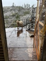 IMG_0336.jpeg