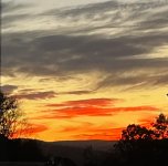 IMG_2484.jpeg