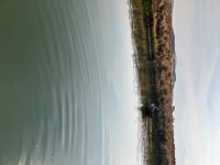 IMG_1380.jpeg