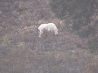 IMG_4660.JPG
