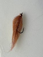 IMG_6353.jpg