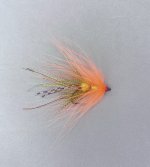 IMG_4770.jpeg