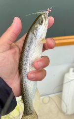 IMG_1747.jpeg IMG_1747.jpeg
