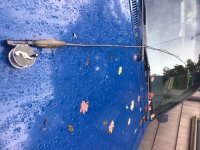 IMG_4315.jpeg