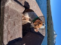 IMG_2930.jpeg