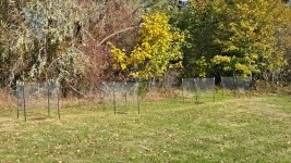 20251022_104252.jpg 20251022_104252.jpg