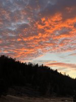 IMG_0922.jpeg