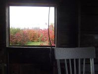 IMG_8061.jpeg