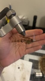 IMG_5035.jpeg