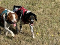 IMG_8050.jpeg