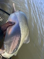 IMG_8669.jpeg IMG_8669.jpeg