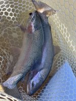 IMG_8604.jpeg IMG_8604.jpeg