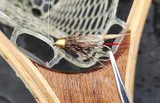 20251025_WMMfly.jpg 20251025_WMMfly.jpg